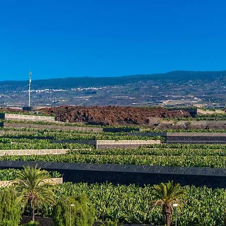 Green House - Modern In Tenerife, Spain.